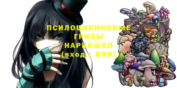 ГАЛЛЮЦИНОГЕННЫЕ ГРИБЫ Абдулино
