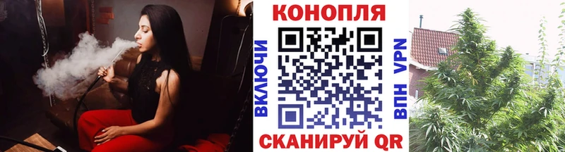 shop состав Майский Каннабис конопля